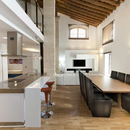 Duplex Tipo Loft - Parking Opcional Apartment Jerez de la Frontera